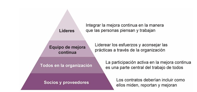 Cultura de mejora